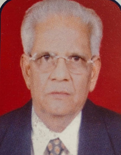 બળવંતભાઈ પટેલ — Tenure as President, Patel Pragati Mandal